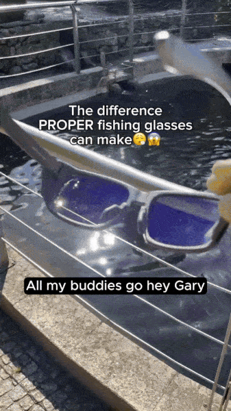 Polarized Fishing Shades