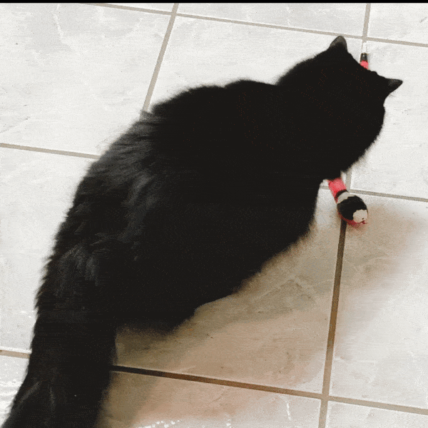 Fluffy Puffy Cat Snake Toy
